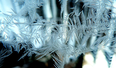 f0083977_215128100.jpg
