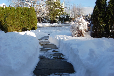 バンクーバーの庭先の雪景色。_d0129786_14153988.jpg