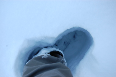 バンクーバーの庭先の雪景色。_d0129786_15265684.jpg