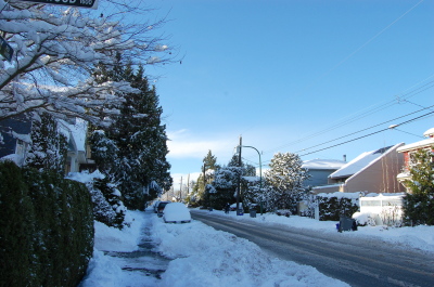 バンクーバーの庭先の雪景色。_d0129786_15422934.jpg