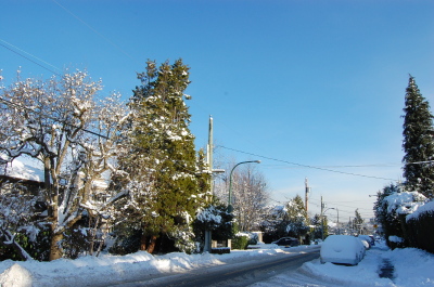 バンクーバーの庭先の雪景色。_d0129786_15595095.jpg