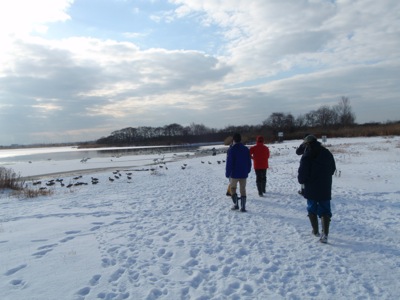f0159390_1263173.jpg