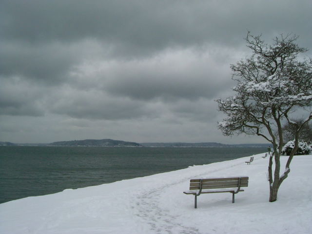 f0130693_23381830.jpg