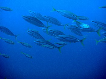 f0079996_17404660.jpg