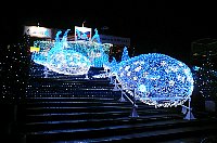 f0079996_17501011.jpg