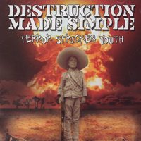 Destruction Made Simple / Terror Stricken Youth_f0176596_3213028.jpg