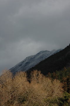 d0107204_1619460.jpg