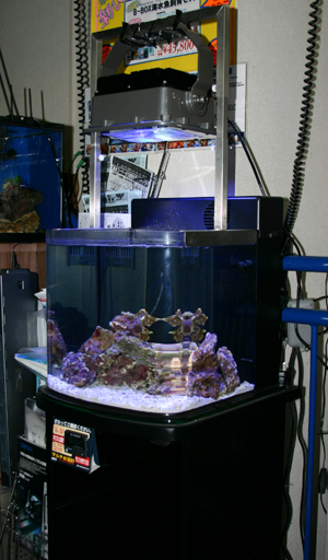 c0165807_0392252.jpg