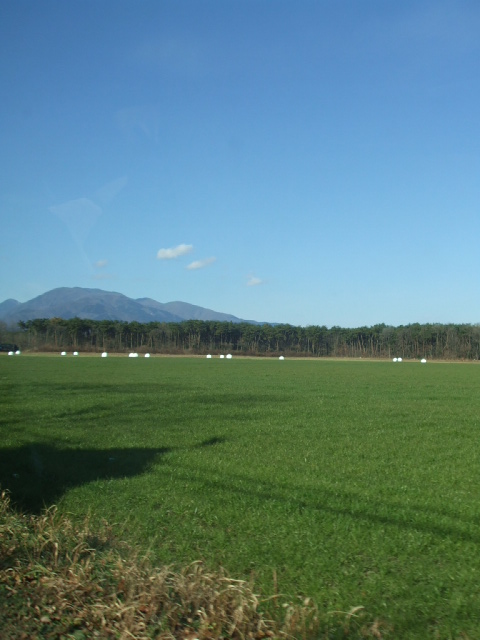 c0143812_2148326.jpg
