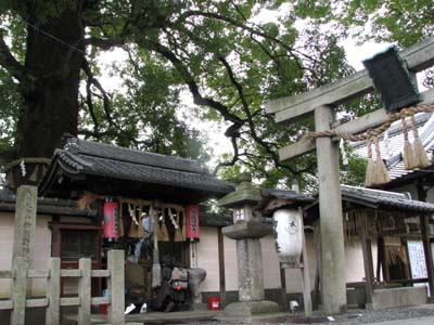 歳末風景3 新熊野神社_e0048413_2144583.jpg