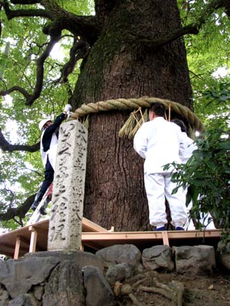 歳末風景3 新熊野神社_e0048413_21451349.jpg