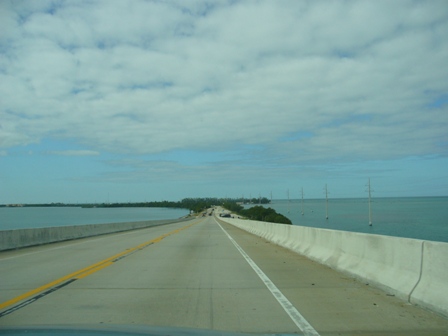 e0049015_433502.jpg