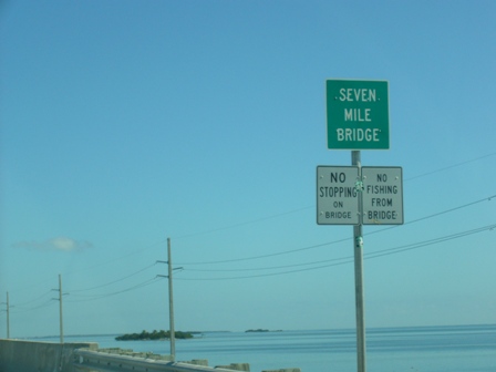 e0049015_4341171.jpg