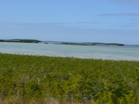 e0049015_4343034.jpg