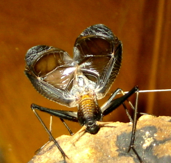 f0181821_1864255.jpg