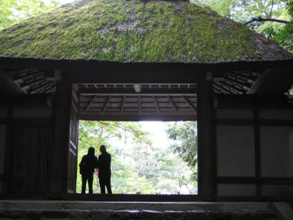 嵐山から仁和寺、銀閣寺、法然院、知恩院へ♪　その２_f0054428_2235336.jpg