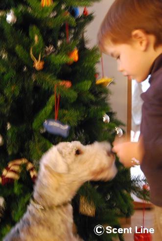 メリークリスマス_c0099133_1351917.jpg
