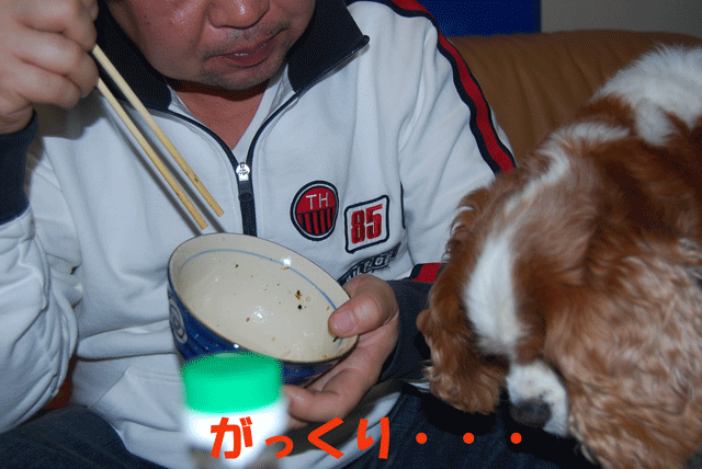 c0136838_23101954.gif