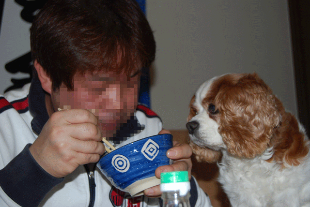 c0136838_236228.gif