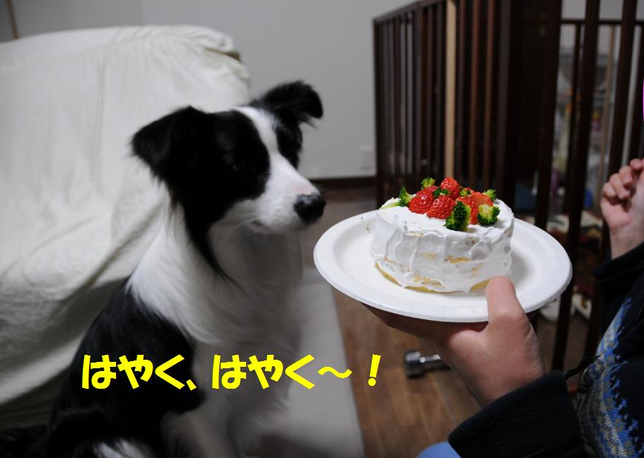 c0147241_2048351.jpg