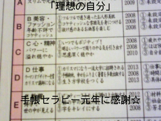 081224　「2008年叶ったこと」Ｃ心・精神　Ｄ仕事の収穫☆_f0164842_7463720.jpg