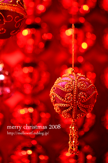 【クリスマス休暇】　merry christmas 2008_d0124248_14491469.jpg