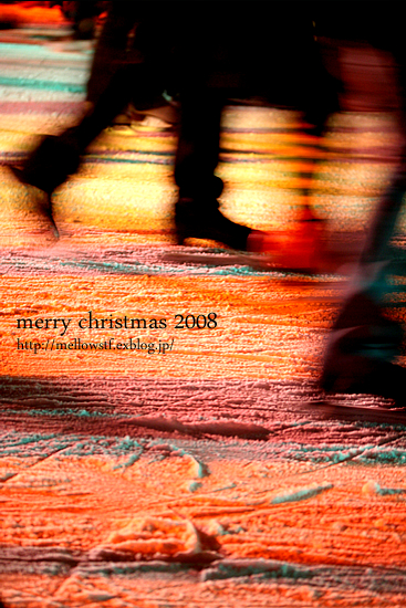 【クリスマス休暇】　merry christmas 2008_d0124248_14521044.jpg
