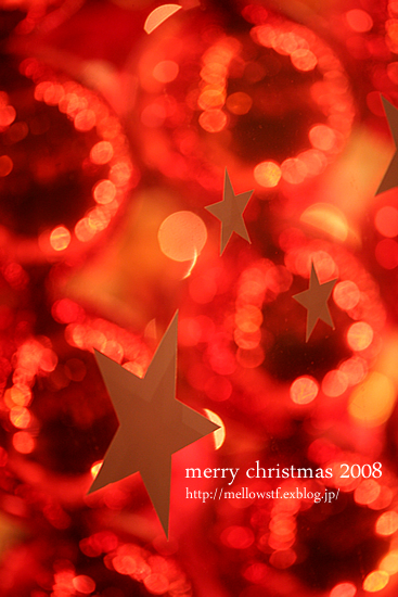 【クリスマス休暇】　merry christmas 2008_d0124248_1581549.jpg