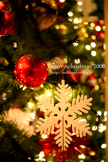 【クリスマス休暇】　merry christmas 2008_d0124248_1583612.jpg
