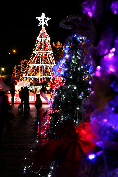 f0147858_2383570.jpg