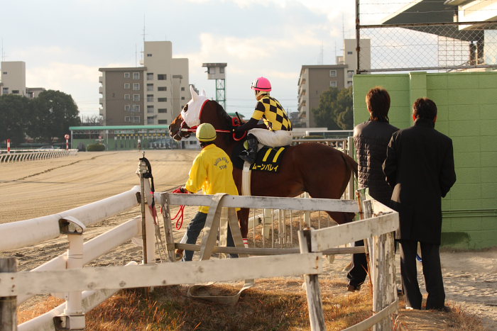 第8回 名古屋グランプリ(JpnII) その1_a0077663_14592782.jpg
