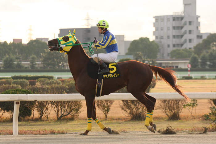 第8回 名古屋グランプリ(JpnII) その1_a0077663_1502624.jpg