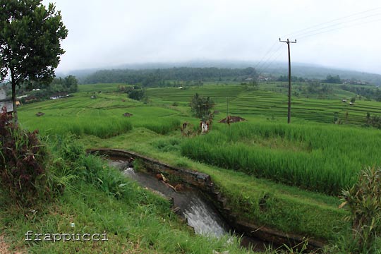 d0056263_0241925.jpg