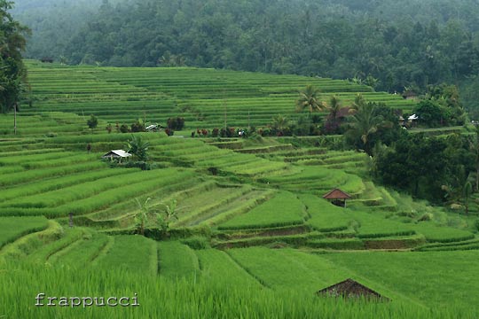 d0056263_0243497.jpg