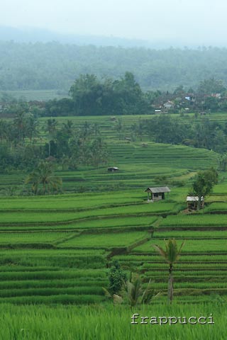 d0056263_0245041.jpg