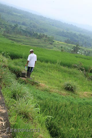 d0056263_0265443.jpg