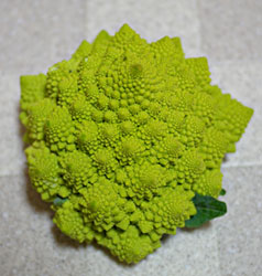 a0064067_13452197.jpg