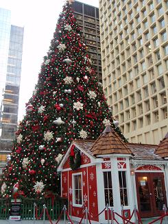 f0140170_1434344.jpg