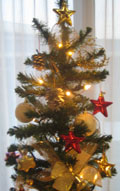 ☆ Happy Merry Christmas ☆_e0086476_1736948.jpg