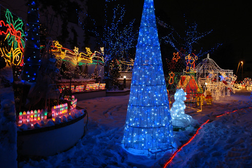 クリスマス・イルミネーション : ホイスコーレ札幌（学びの森）