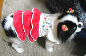 c0042081_20154116.jpg