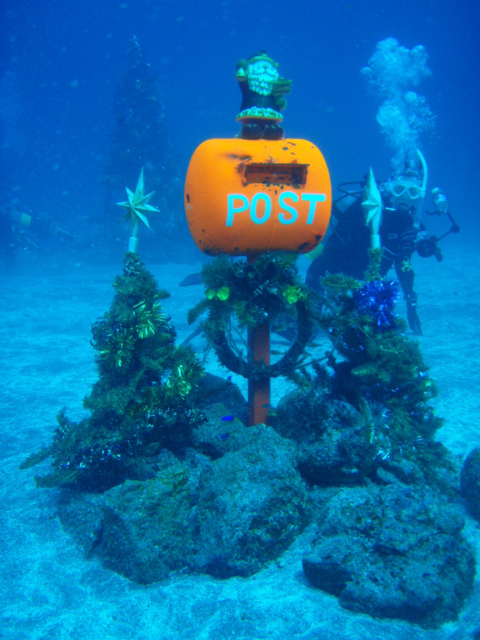 Dive159-162 クリスマスダイビング in IOP_c0131981_63946100.jpg