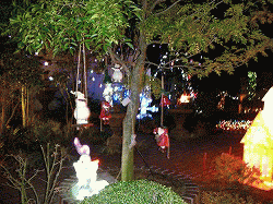 c0078592_1230468.gif