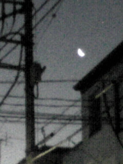 d0128495_6155657.jpg