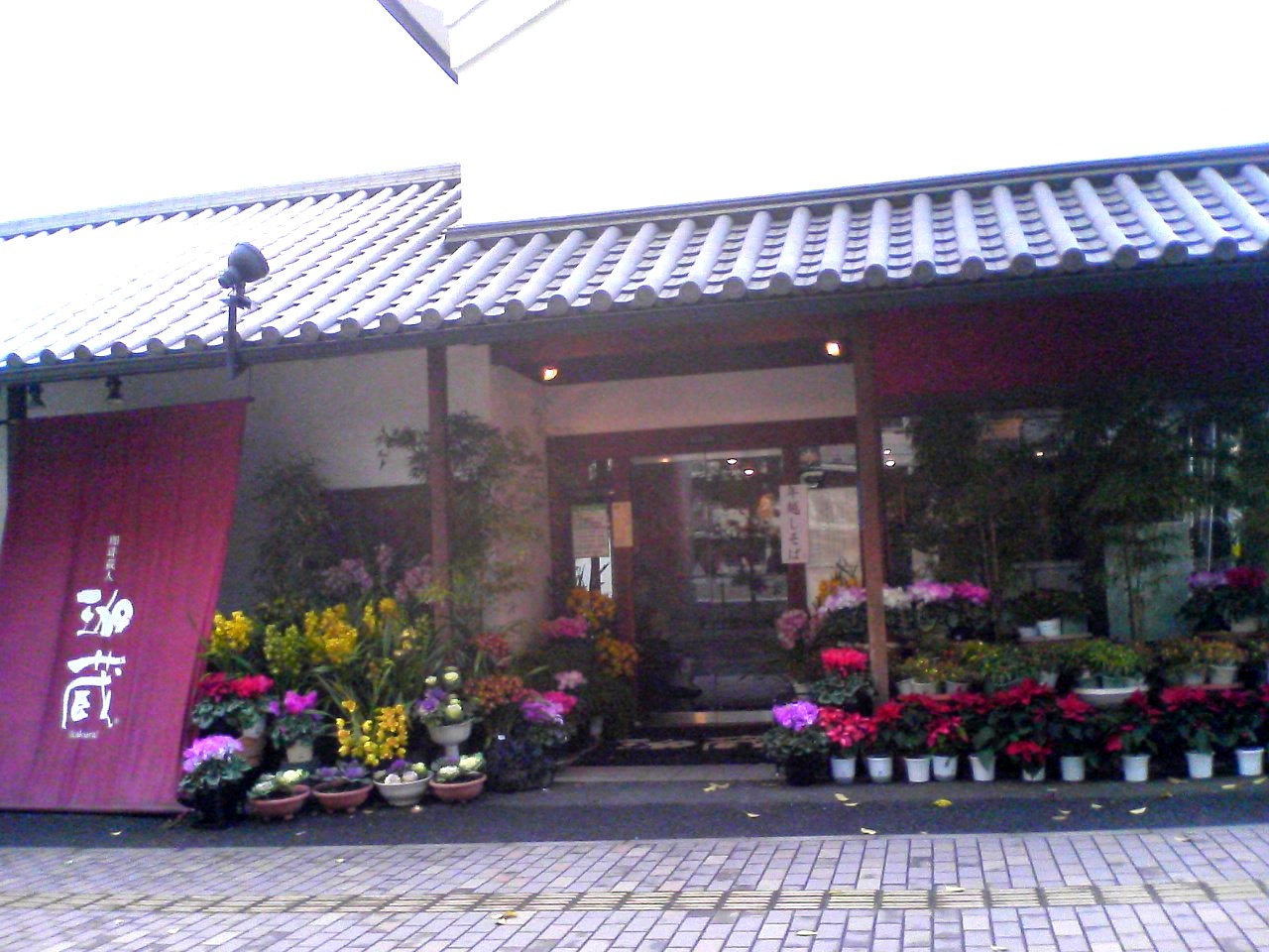 d0147502_204936.jpg