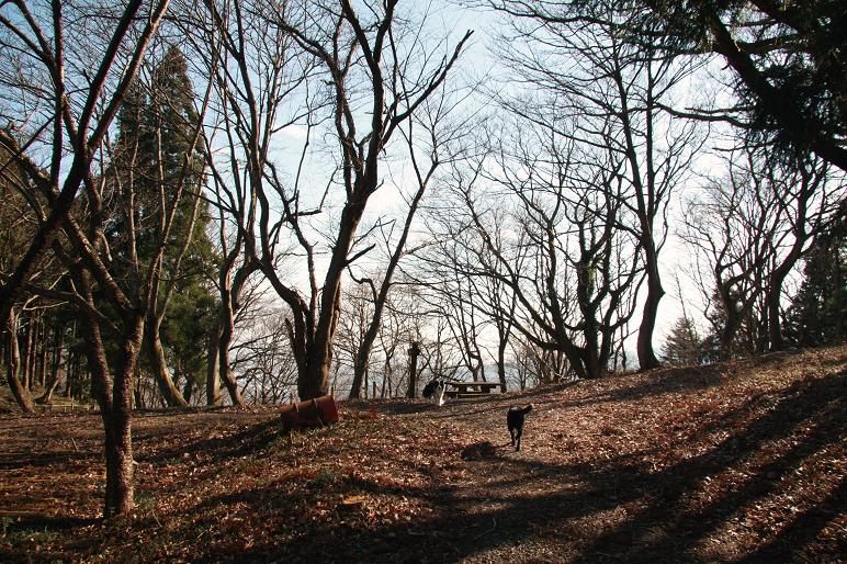 f0034602_221673.jpg
