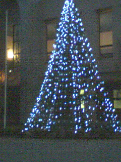 c0023406_633623.jpg