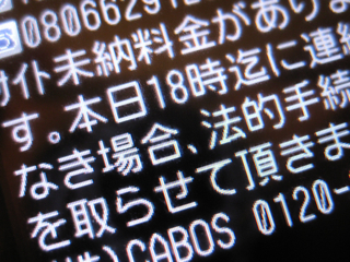 b0143214_17413039.jpg