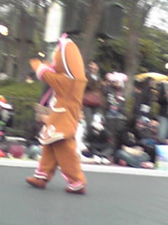 TDL　クリスマス♪_e0134616_291750.jpg