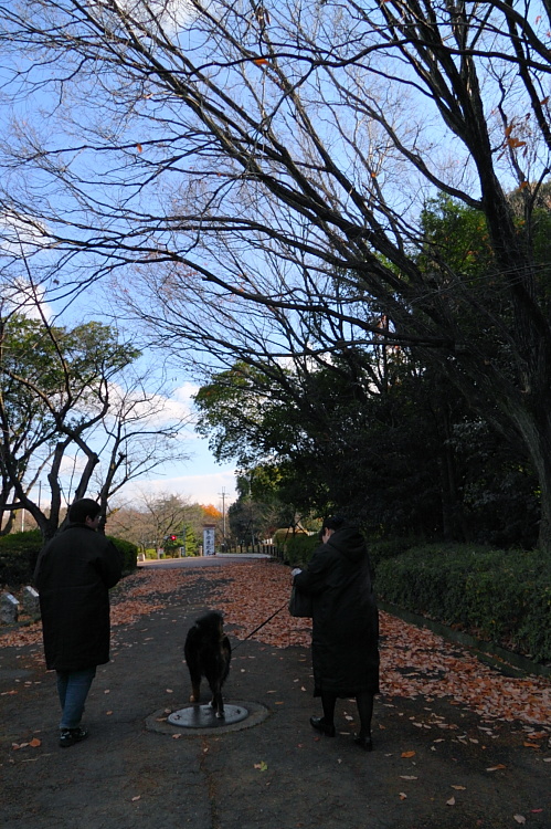 b0065717_741050.jpg